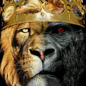 Meet your Posher, King